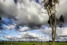 李霄鹏:队员尽全力了,这场失利给我们敲响了警钟.