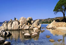 问鼎娱乐:杜兰特42+6+8米切尔低迷仅7分 太阳擒骑士3连胜.